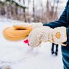 Gordini Women's Elias Sherpa Mittens view 2