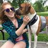 Cooler Dog Cooling Vest and Collar - Medium view 4