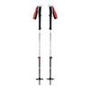 Black Diamond Expedition 2 Ski Poles view 1