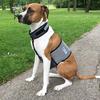 Cooler Dog Cooling Vest and Collar - Medium view 3