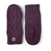 Hestra Unisex Dale Mittens view 4
