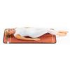 HealthyLine TAO Mat Full Short 6024 Firm - PEMF InfraMat Pro - 60