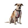 Nathan K9 Series Dog Harness Reflective view 3