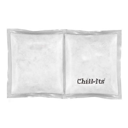 Ergodyne Chill-Its 6283 Rechargeable Phase Change Ice Pack - Clear