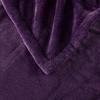 Beautyrest Heated Plush Throw - 60