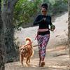 Nathan K9 Series Dog Harness Reflective view 5
