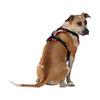 Nathan K9 Series Dog Harness Reflective view 4