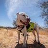 ExtremeMIST Retrofit Kit (Installs In Any Hydration Pack) view 3