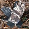 Glacier Glove Alaska Pro Waterproof Gloves - Realtree Max 5 HD view 4