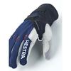 Hestra XC Ergo Grip Shark 5 Finger Ski Gloves view 7