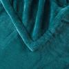 Beautyrest Heated Plush Throw - 60