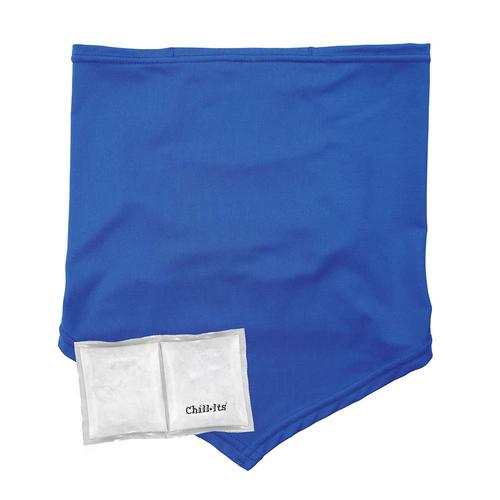 Ergodyne Chill-Its 6482 Cooling Neck Gaiter Bandana with Pocket and Ice Packs