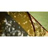 Snow Peak Amenity Dome Small Tent - 2 Persons view 3