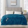 Beautyrest Heated Plush Blanket - Full view 4