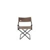 Snow Peak Gray Folding Chair view 1