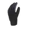 SealSkinz Howe Waterproof All Weather Multi-Activity Gloves with Fusion Control view 1